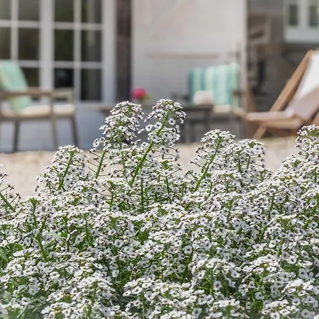 לינה וארוחת בוקר Clerval - Et Dragey