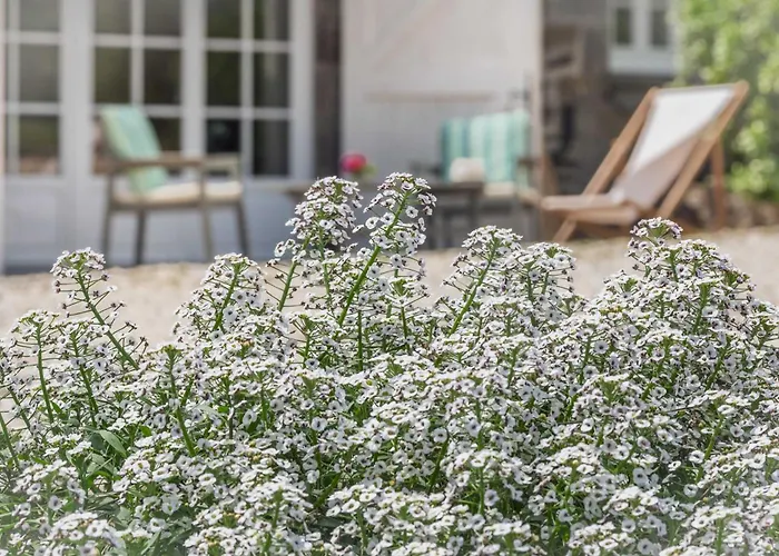 Bed & Breakfast Clerval - Et Dragey